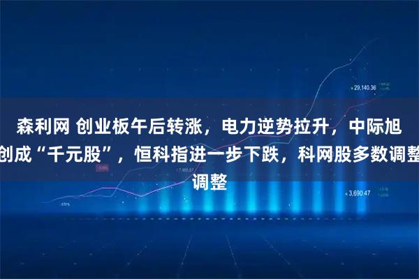 森利网 创业板午后转涨，电力逆势拉升，中际旭创成“千元股”，恒科指进一步下跌，科网股多数调整